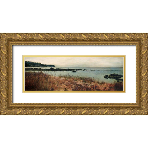 Island Shores I Gold Ornate Wood Framed Art Print with Double Matting by Melious, Amy