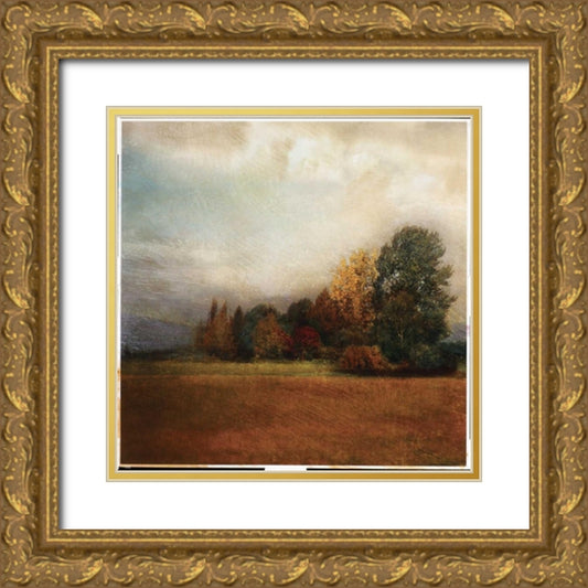 Perspective Image