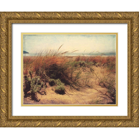 Sand Dunes I Gold Ornate Wood Framed Art Print with Double Matting by Melious, Amy