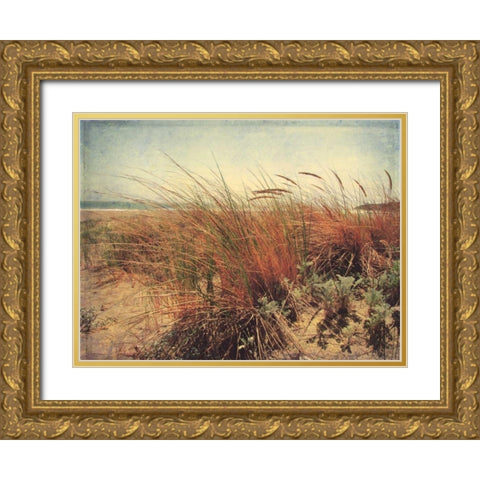 Sand Dunes II Gold Ornate Wood Framed Art Print with Double Matting by Melious, Amy