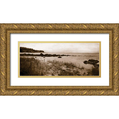 Sepia Island Shores I Gold Ornate Wood Framed Art Print with Double Matting by Melious, Amy