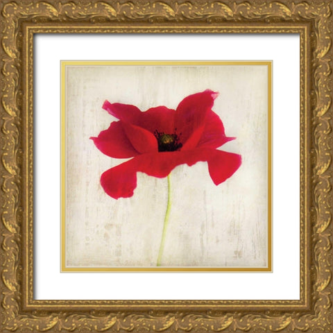 Red I Gold Ornate Wood Framed Art Print with Double Matting by Melious, Amy