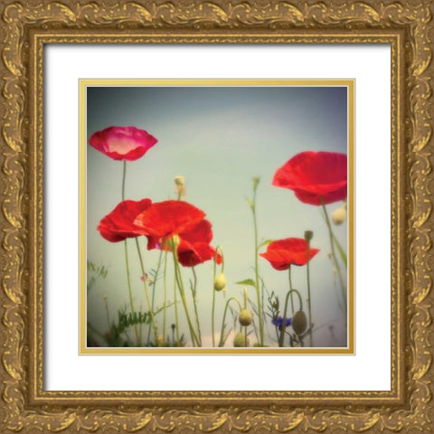 Bloom I Gold Ornate Wood Framed Art Print with Double Matting by Melious, Amy