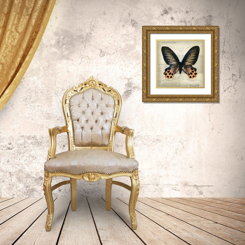 Butterflies Script IV Gold Ornate Wood Framed Art Print with Double Matting by Melious, Amy