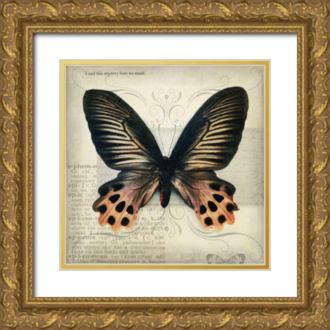 Butterflies Script IV Gold Ornate Wood Framed Art Print with Double Matting by Melious, Amy