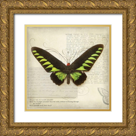 Butterflies Script VI Gold Ornate Wood Framed Art Print with Double Matting by Melious, Amy