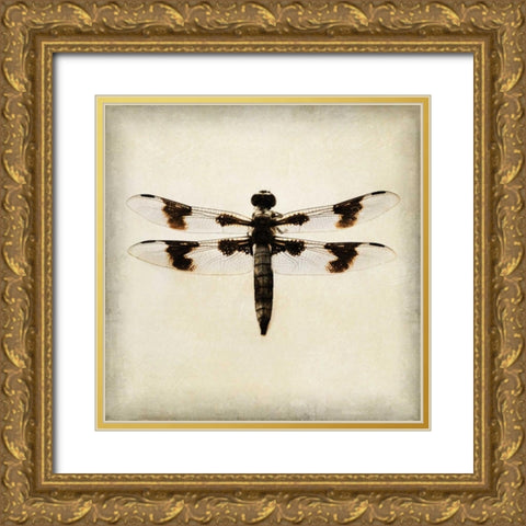 Dragonfly II Gold Ornate Wood Framed Art Print with Double Matting by Melious, Amy