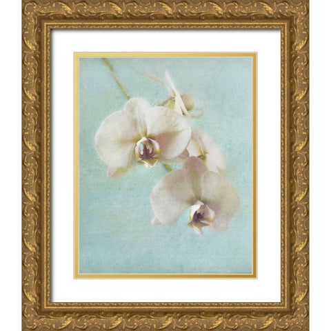 Aqua Floral I Gold Ornate Wood Framed Art Print with Double Matting by Melious, Amy