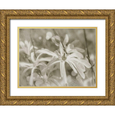 Star Magnolias I Gold Ornate Wood Framed Art Print with Double Matting by Melious, Amy