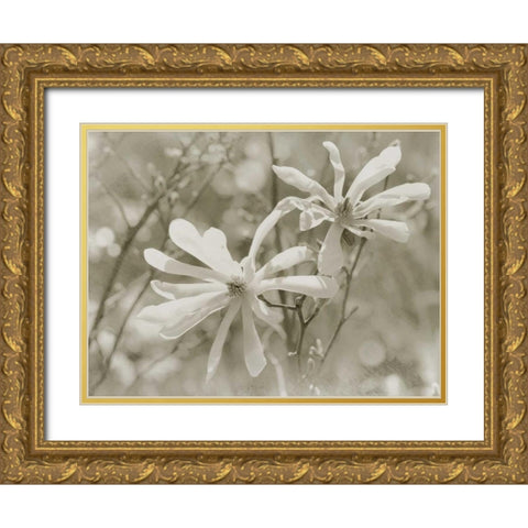 Star Magnolias II Gold Ornate Wood Framed Art Print with Double Matting by Melious, Amy