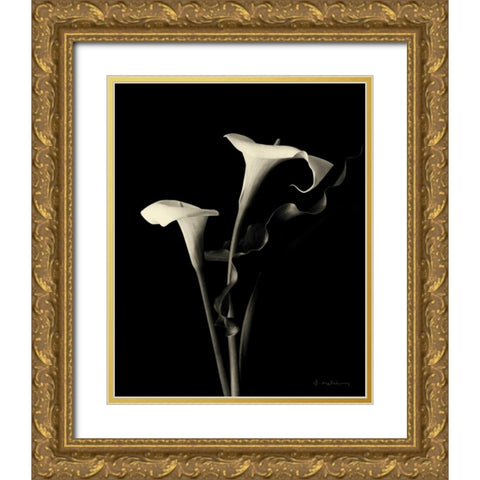 Botanical Elegance Calla III Gold Ornate Wood Framed Art Print with Double Matting by Melious, Amy