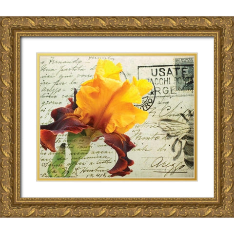 Carte Postale Iris Gold Ornate Wood Framed Art Print with Double Matting by Melious, Amy