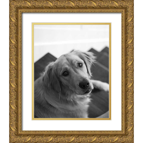 Goldie I Black and White Gold Ornate Wood Framed Art Print with Double Matting by Millet, Karyn