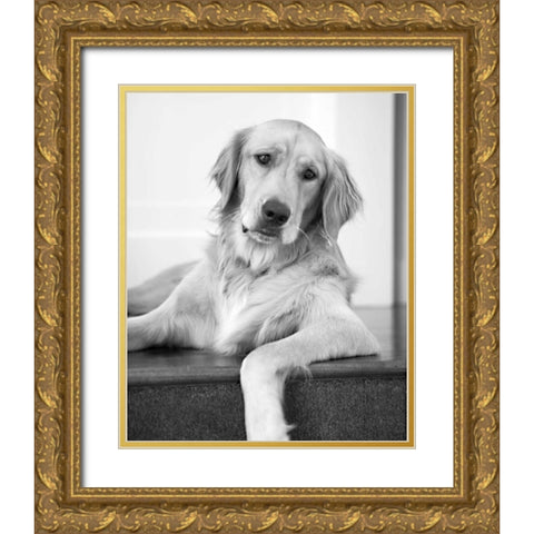 Goldie II Black and White Gold Ornate Wood Framed Art Print with Double Matting by Millet, Karyn