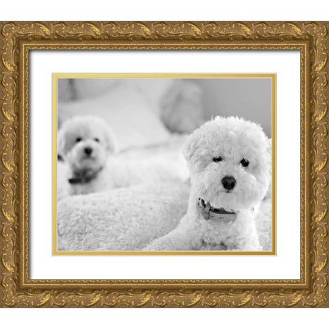 Bichons Black and White Gold Ornate Wood Framed Art Print with Double Matting by Millet, Karyn