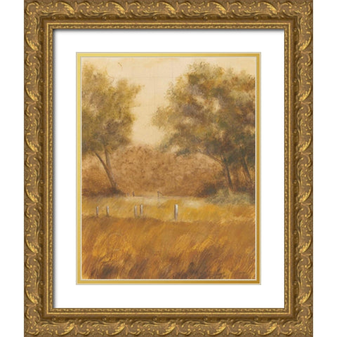Traveled Path I Gold Ornate Wood Framed Art Print with Double Matting by Martin, Cheryl