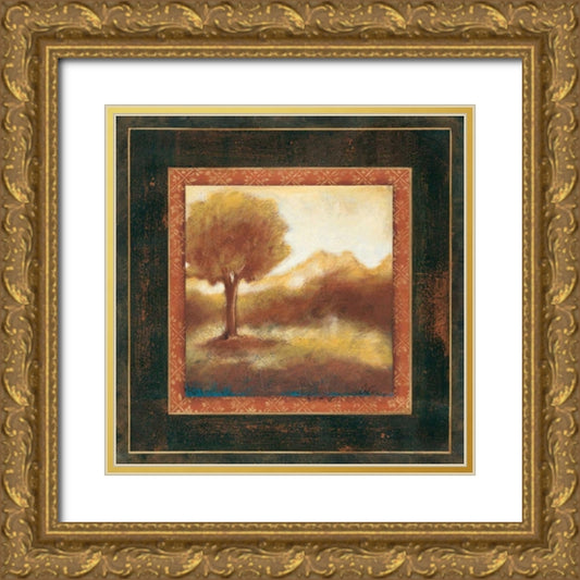 Perspective Image
