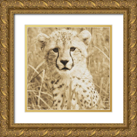 Young Cheetah Gold Ornate Wood Framed Art Print with Double Matting by Parker, Susann