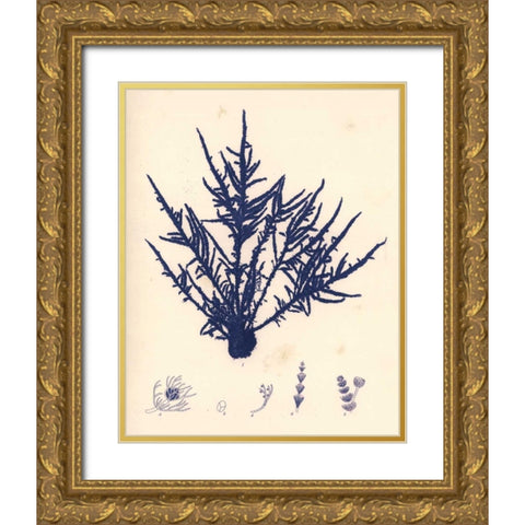 Blue Botanical Study II Gold Ornate Wood Framed Art Print with Double Matting by Poloson, Kimberly