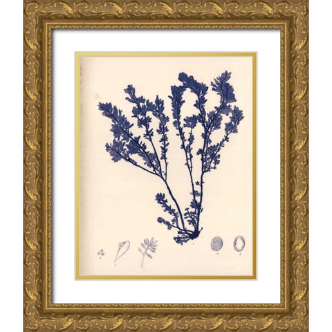Blue Botanical Study III Gold Ornate Wood Framed Art Print with Double Matting by Poloson, Kimberly