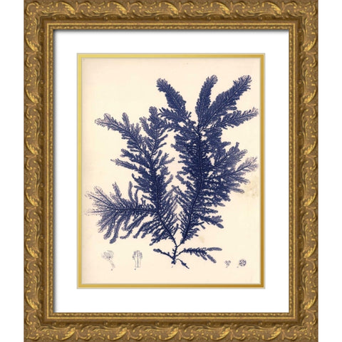 Blue Botanical Study IV Gold Ornate Wood Framed Art Print with Double Matting by Poloson, Kimberly