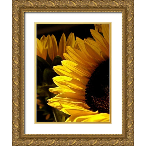 Sunlit Sunflowers I Gold Ornate Wood Framed Art Print with Double Matting by Burkhart, Monika