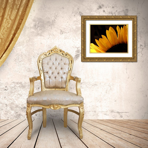 Sunlit Sunflowers III Gold Ornate Wood Framed Art Print with Double Matting by Burkhart, Monika