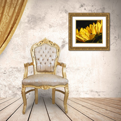 Sunlit Sunflowers IV Gold Ornate Wood Framed Art Print with Double Matting by Burkhart, Monika