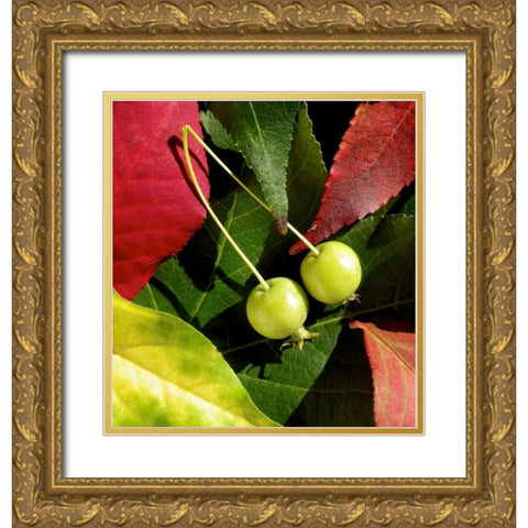 Fall Colors II Gold Ornate Wood Framed Art Print with Double Matting by Burkhart, Monika