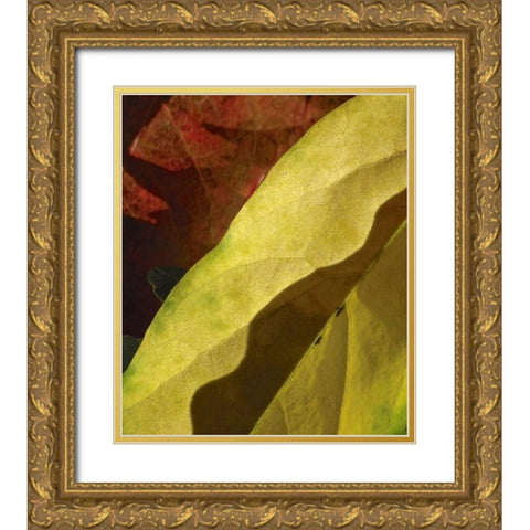 Fall Colors IV Gold Ornate Wood Framed Art Print with Double Matting by Burkhart, Monika