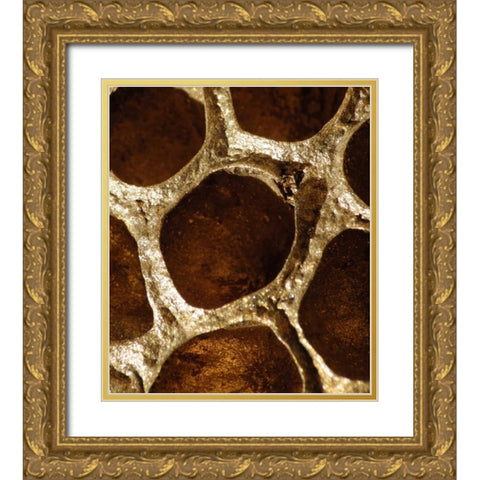 Lotus Pods I Gold Ornate Wood Framed Art Print with Double Matting by Burkhart, Monika