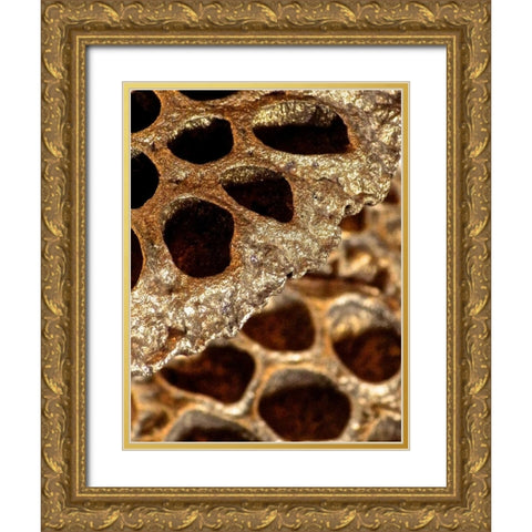 Lotus Pods II Gold Ornate Wood Framed Art Print with Double Matting by Burkhart, Monika