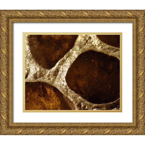 Lotus Pods III Gold Ornate Wood Framed Art Print with Double Matting by Burkhart, Monika