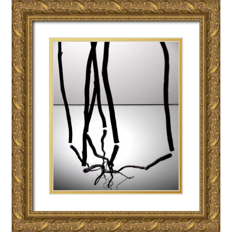 Natures Reflections III Gold Ornate Wood Framed Art Print with Double Matting by Burkhart, Monika