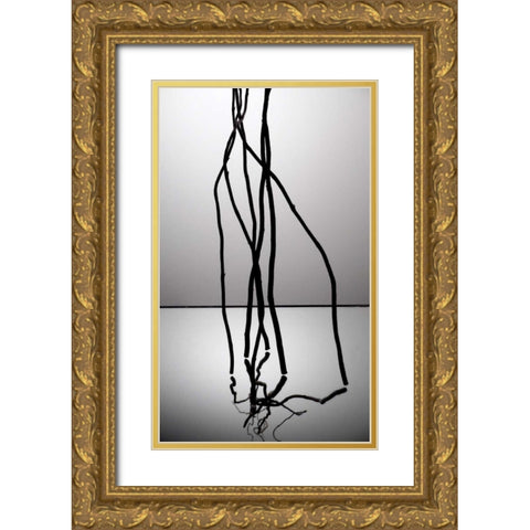 Natures Reflections IV Gold Ornate Wood Framed Art Print with Double Matting by Burkhart, Monika