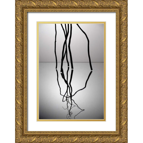 Natures Reflections V Gold Ornate Wood Framed Art Print with Double Matting by Burkhart, Monika