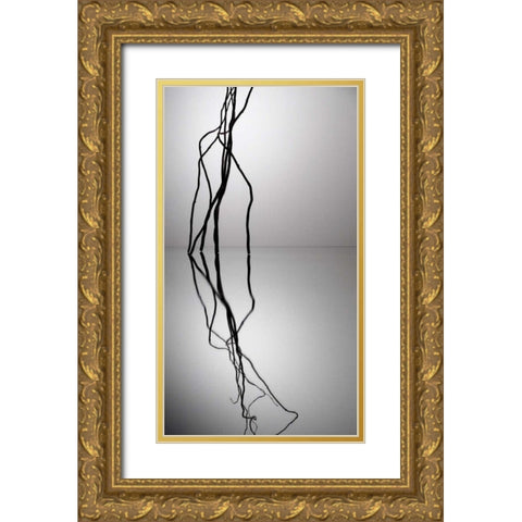 Natures Reflections VI Gold Ornate Wood Framed Art Print with Double Matting by Burkhart, Monika