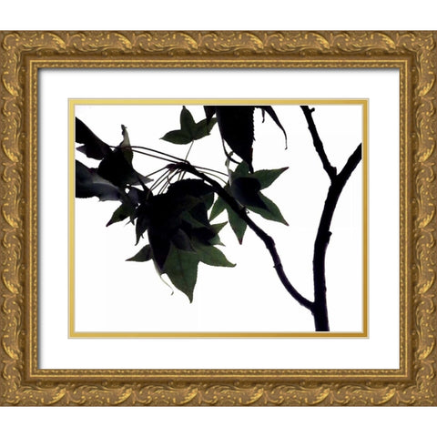 Maple Branch I Gold Ornate Wood Framed Art Print with Double Matting by Burkhart, Monika