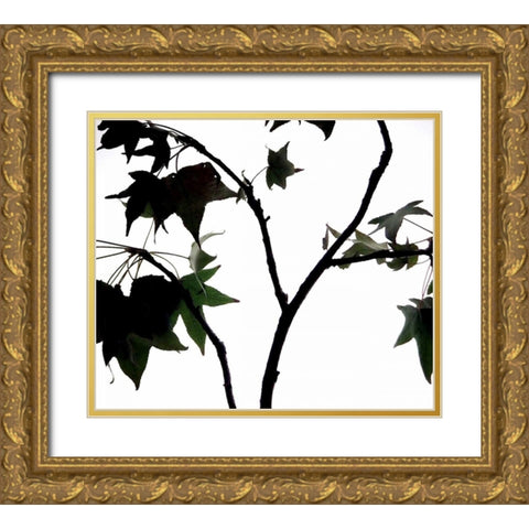 Maple Branch II Gold Ornate Wood Framed Art Print with Double Matting by Burkhart, Monika