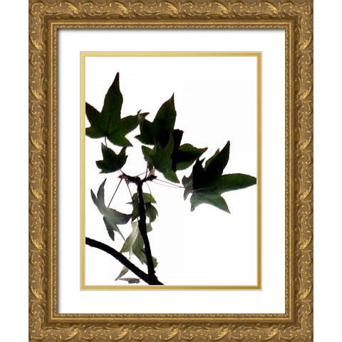 Maple Branch III Gold Ornate Wood Framed Art Print with Double Matting by Burkhart, Monika