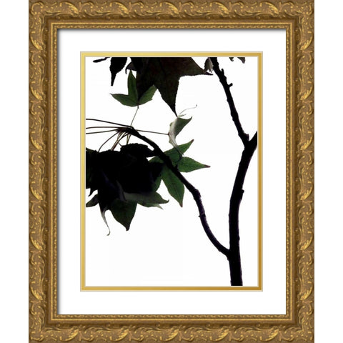 Maple Branch IV Gold Ornate Wood Framed Art Print with Double Matting by Burkhart, Monika