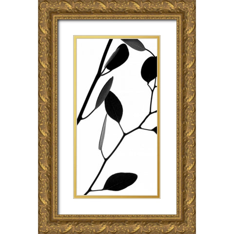 Lunaria Honesty II Gold Ornate Wood Framed Art Print with Double Matting by Burkhart, Monika