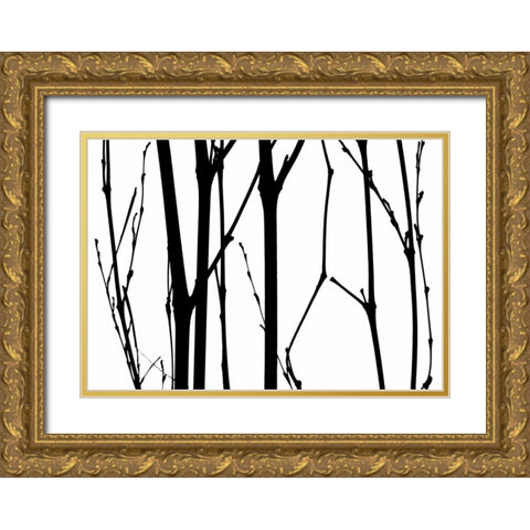 Branch Silhouette VI Gold Ornate Wood Framed Art Print with Double Matting by Burkhart, Monika