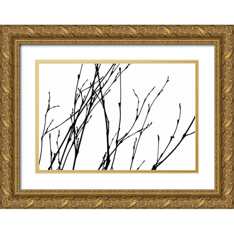 Dancing Branches I Gold Ornate Wood Framed Art Print with Double Matting by Burkhart, Monika