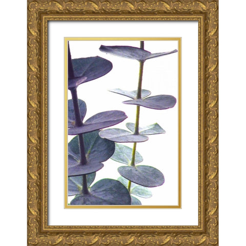 Eucalyptus I Gold Ornate Wood Framed Art Print with Double Matting by Burkhart, Monika