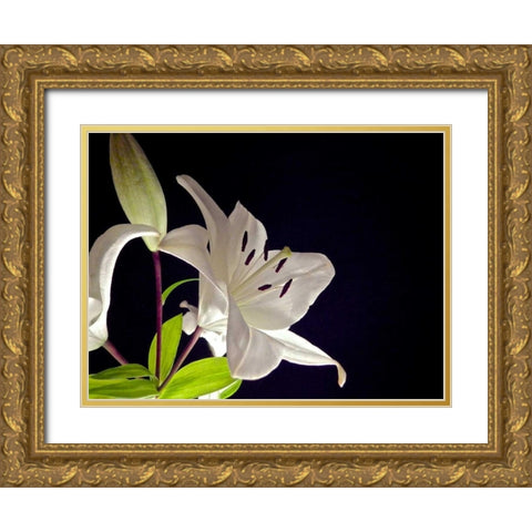White Lilies I Gold Ornate Wood Framed Art Print with Double Matting by Burkhart, Monika