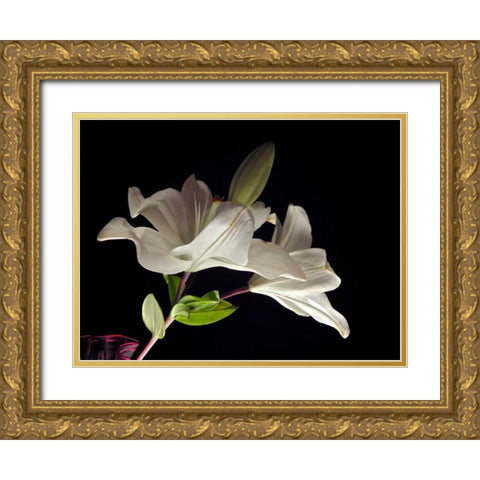 White Lilies II Gold Ornate Wood Framed Art Print with Double Matting by Burkhart, Monika