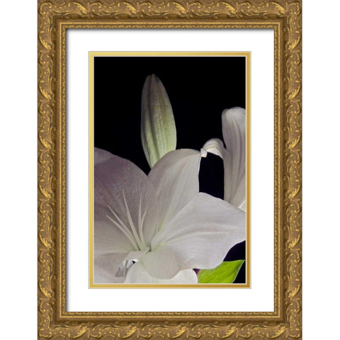 White Lilies IV Gold Ornate Wood Framed Art Print with Double Matting by Burkhart, Monika