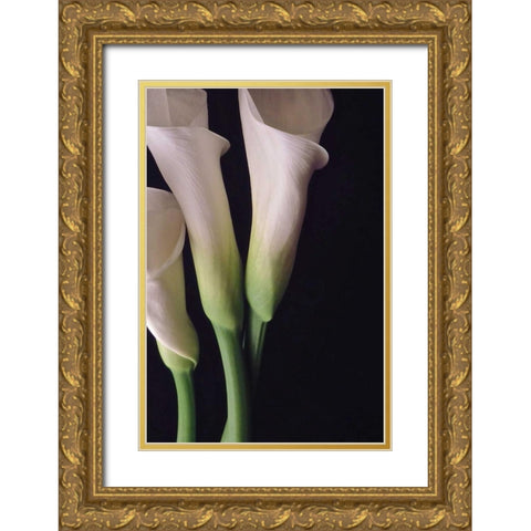 White Callas I Gold Ornate Wood Framed Art Print with Double Matting by Burkhart, Monika
