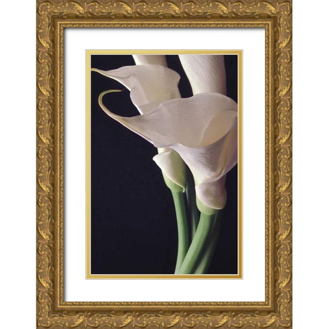 White Callas II Gold Ornate Wood Framed Art Print with Double Matting by Burkhart, Monika